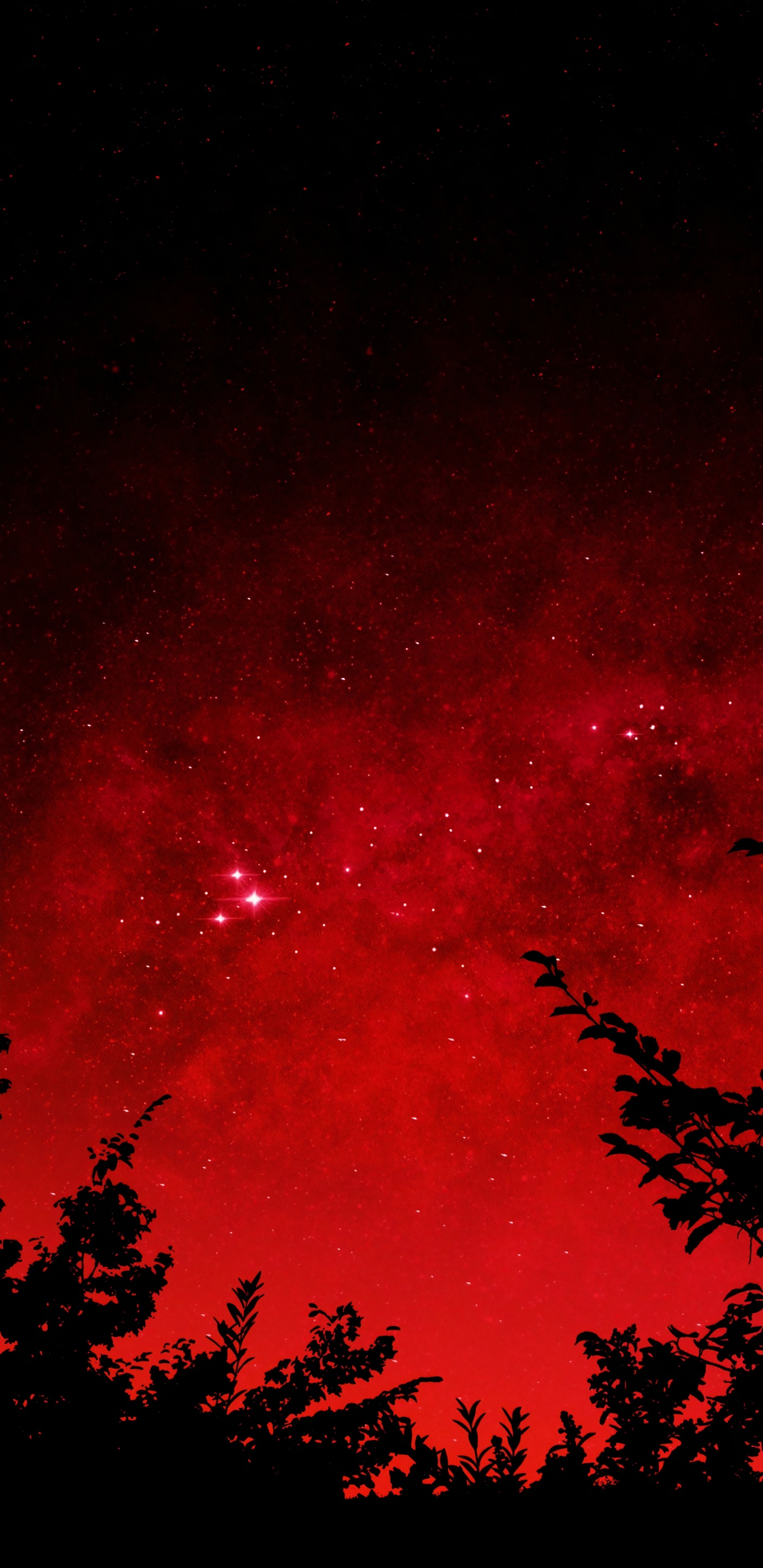 剪影, 植被, 矢量图形, 绘画, 气氛 壁纸 1440x2960 允许