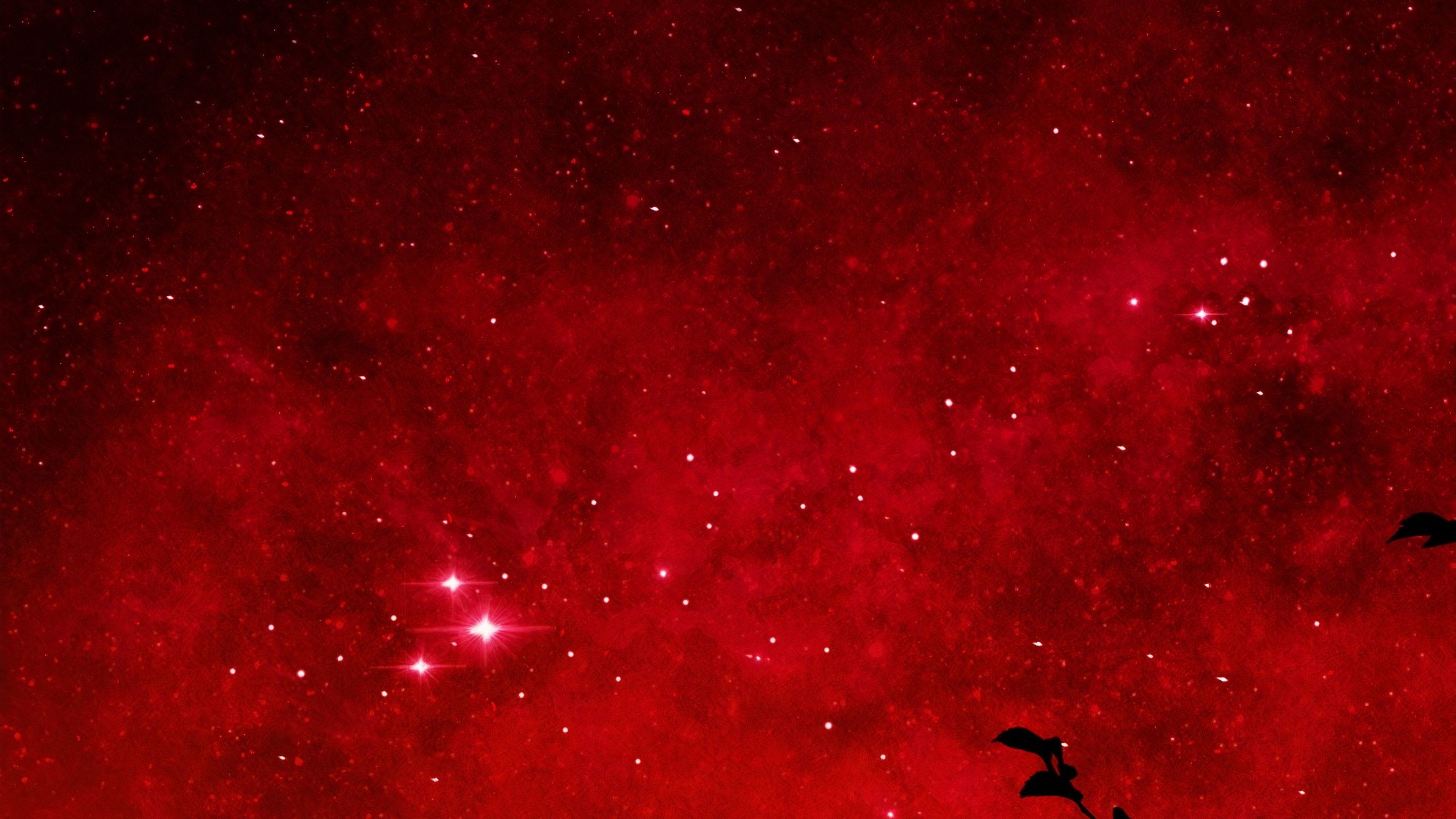 剪影, 植被, 矢量图形, 绘画, 气氛 壁纸 2560x1440 允许