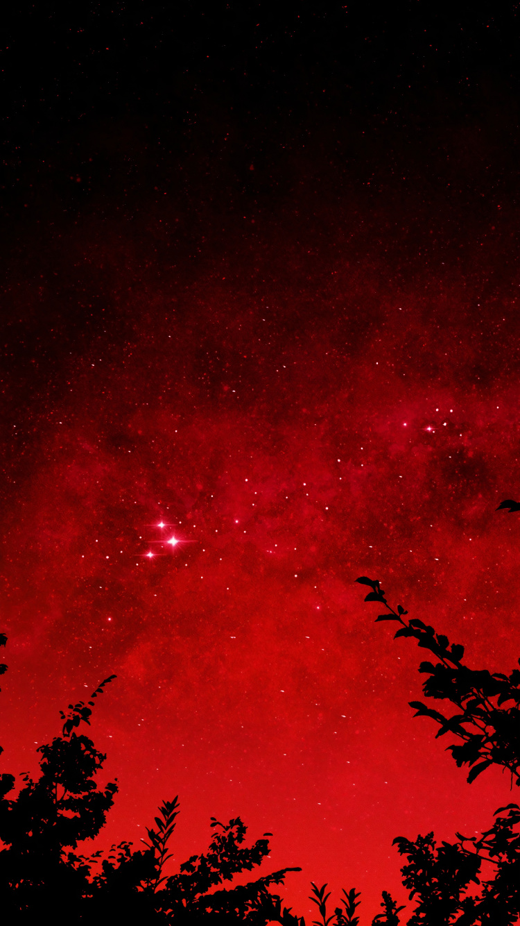 剪影, 植被, 矢量图形, 绘画, 气氛 壁纸 750x1334 允许