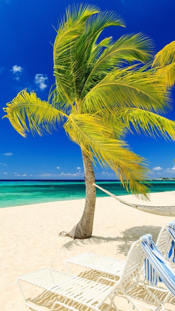 White Beach Lounge Chairs on Beach During Daytime. Wallpaper in 720x1280 Resolution