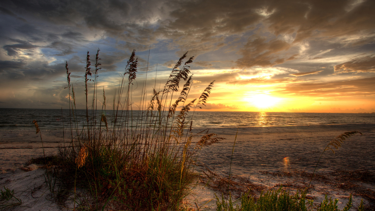 Green Grass Near Body of Water During Sunset. Wallpaper in 1280x720 Resolution
