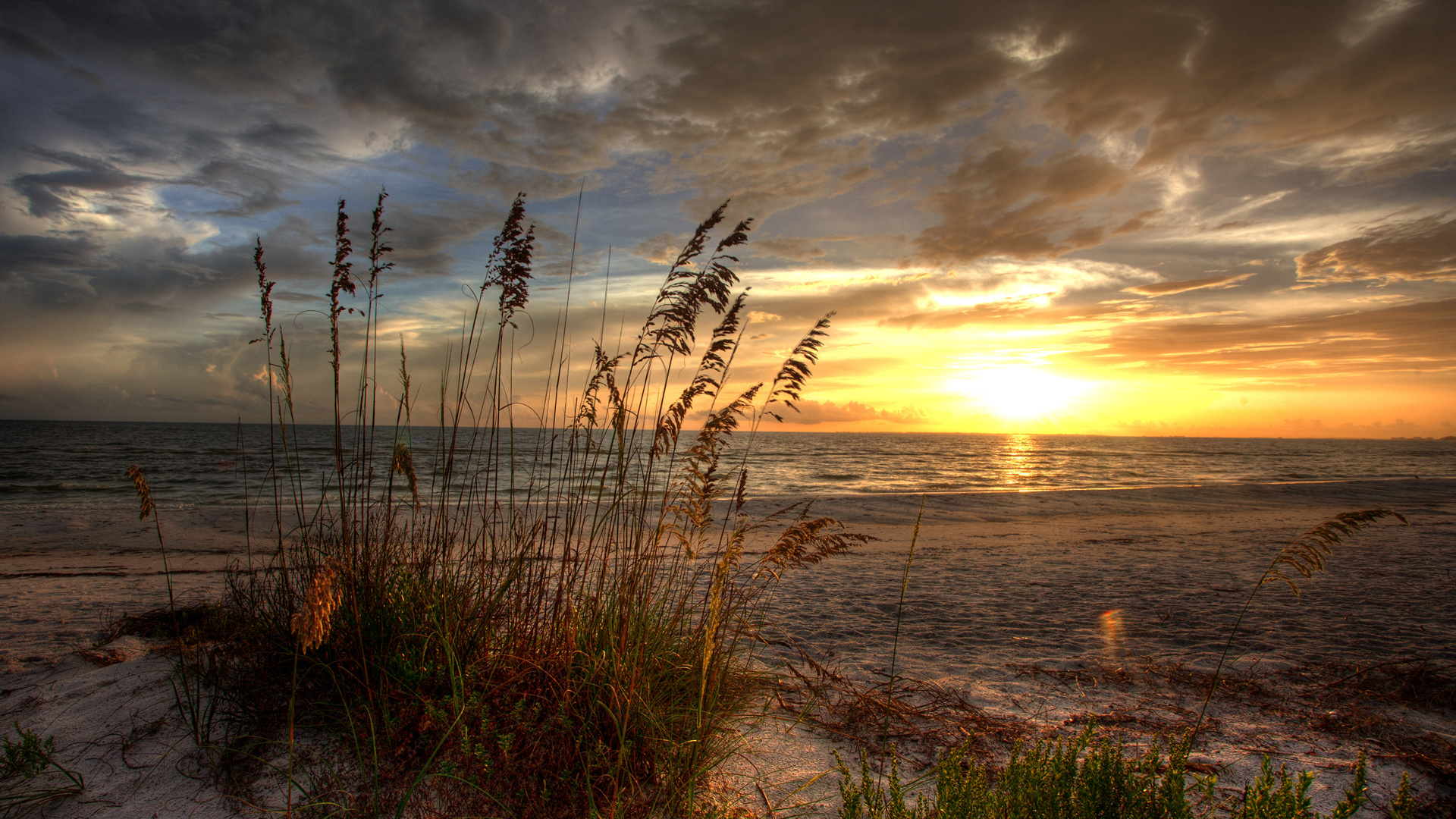 Green Grass Near Body of Water During Sunset. Wallpaper in 1920x1080 Resolution