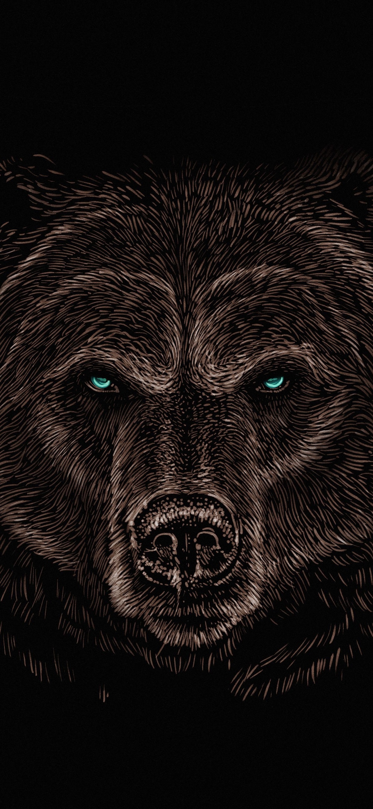 Grizzlybären, Bears, Wolf, American Black Bear, Felidae. Wallpaper in 1242x2688 Resolution