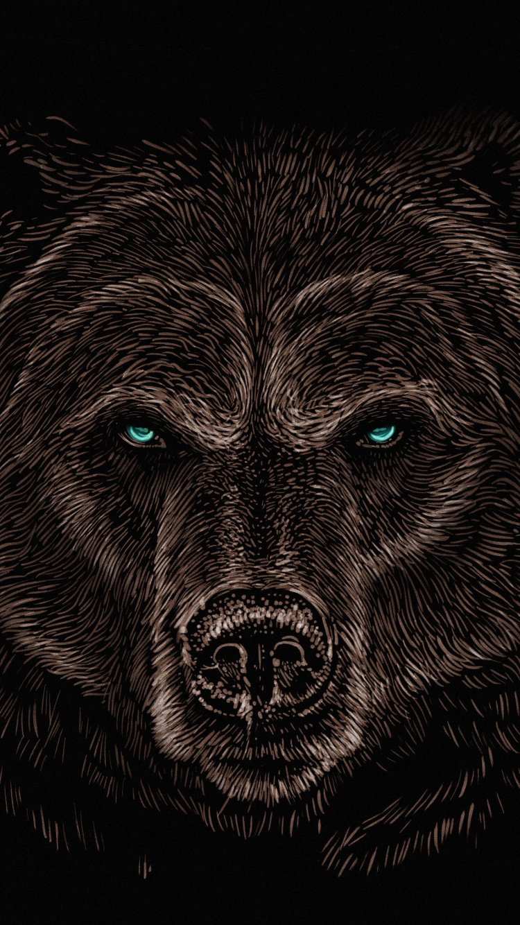 Grizzlybären, Bears, Wolf, American Black Bear, Felidae. Wallpaper in 750x1334 Resolution