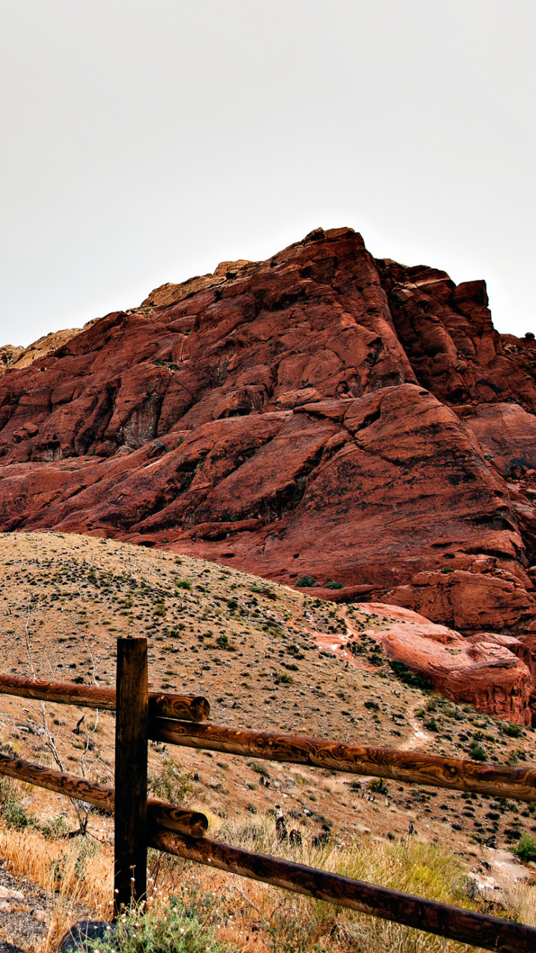 Brown Wooden Fence on Gray Asphalt Road During Daytime. Wallpaper in 750x1334 Resolution
