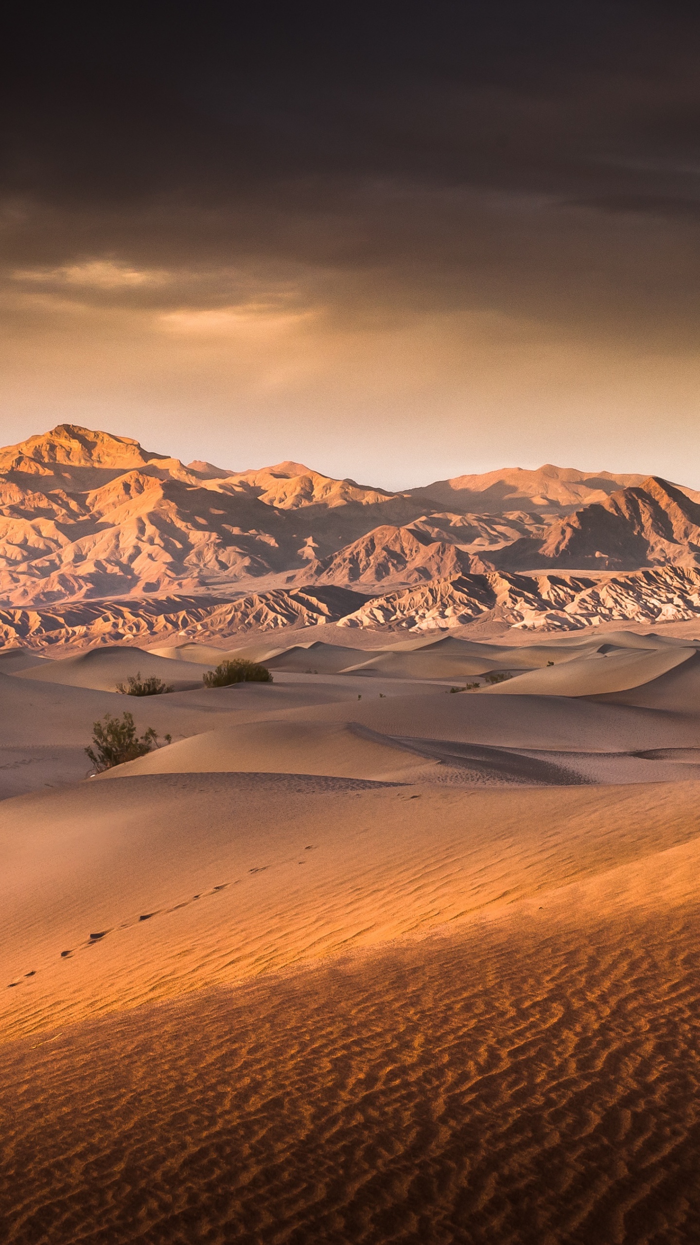 Brown Sand With Snow Covered Mountains in The Distance. Wallpaper in 1440x2560 Resolution