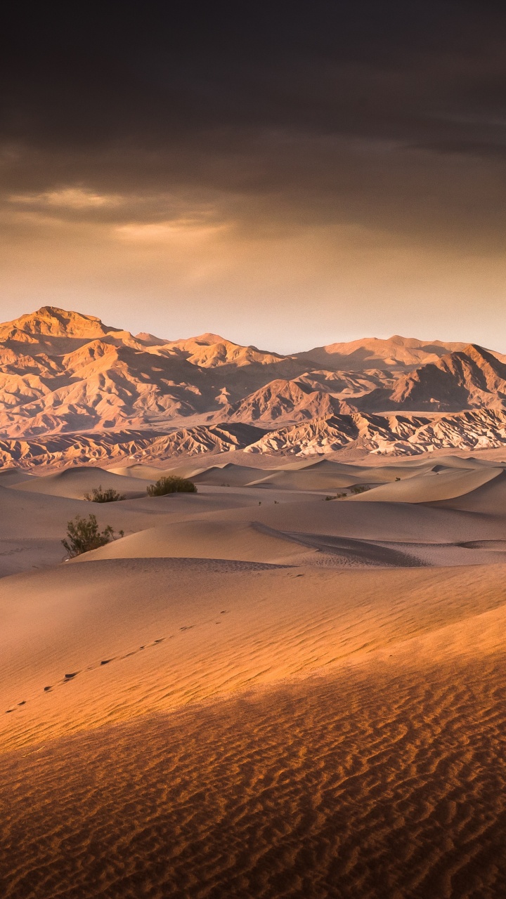 Brown Sand With Snow Covered Mountains in The Distance. Wallpaper in 720x1280 Resolution