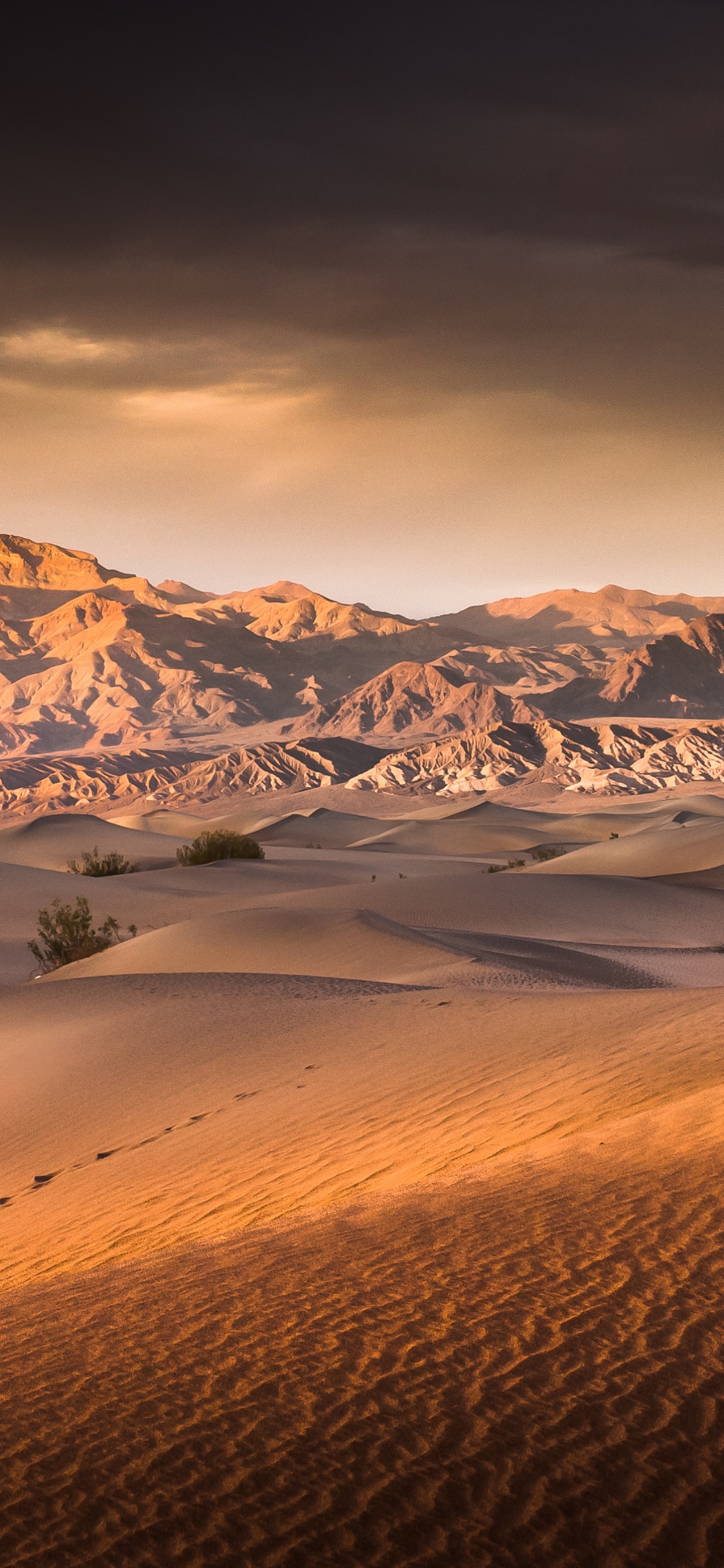 Brauner Sand Mit Schneebedeckten Bergen in Der Ferne. Wallpaper in 1242x2688 Resolution