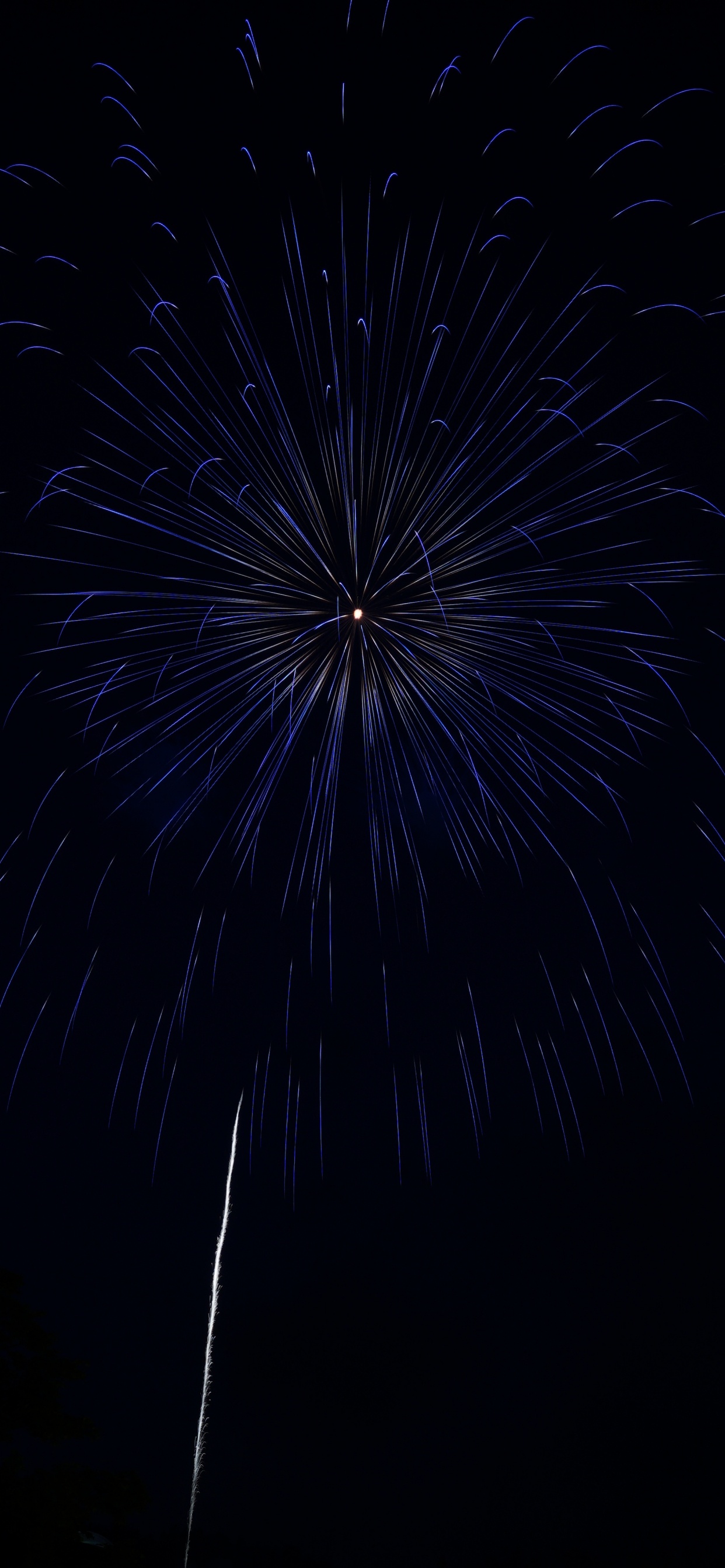 Fireworks, Black, Darkness, Night, Midnight. Wallpaper in 1242x2688 Resolution