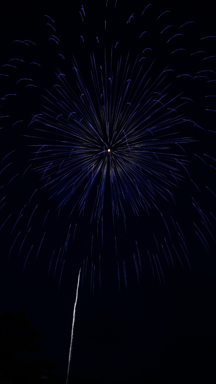 Fireworks, Black, Darkness, Night, Midnight. Wallpaper in 720x1280 Resolution
