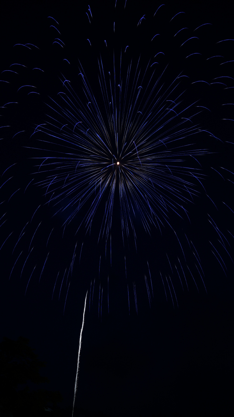Fireworks, Black, Darkness, Night, Midnight. Wallpaper in 750x1334 Resolution