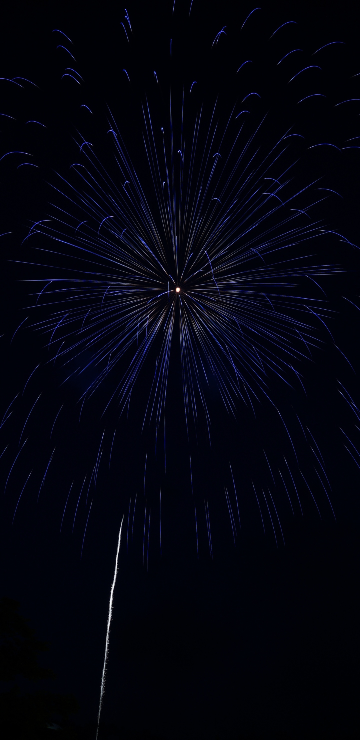 Feuerwerk, Schwarz, Nacht, Mitternacht, Purpur. Wallpaper in 1440x2960 Resolution