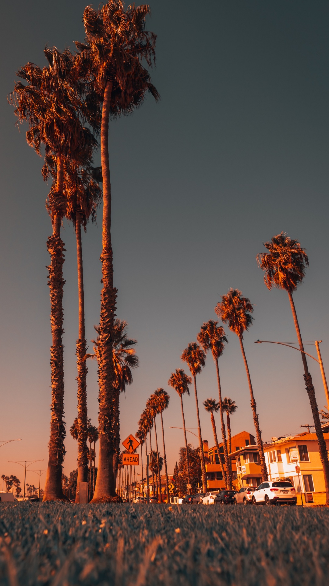 光, 性质, 人体内的水 壁纸 1080x1920 允许