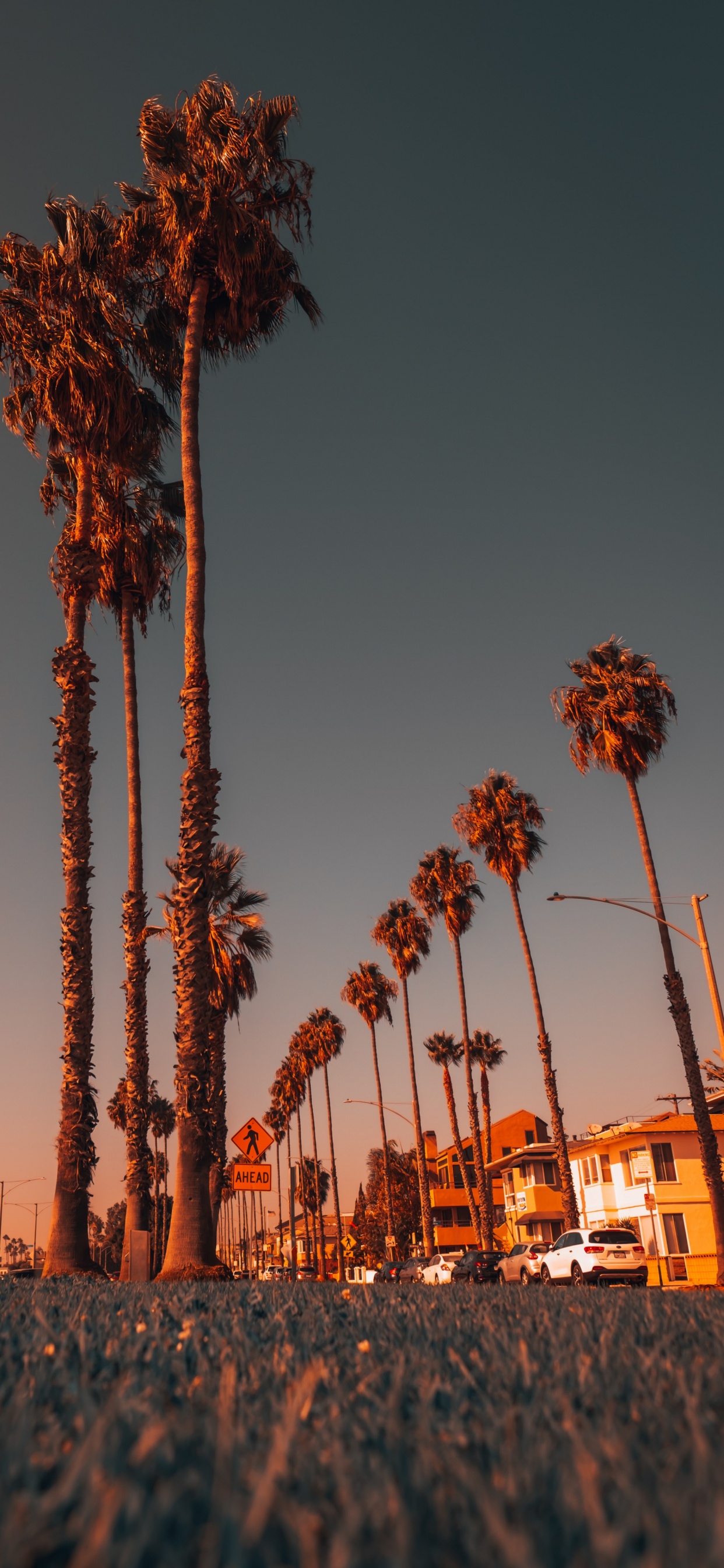 光, 性质, 人体内的水 壁纸 1242x2688 允许