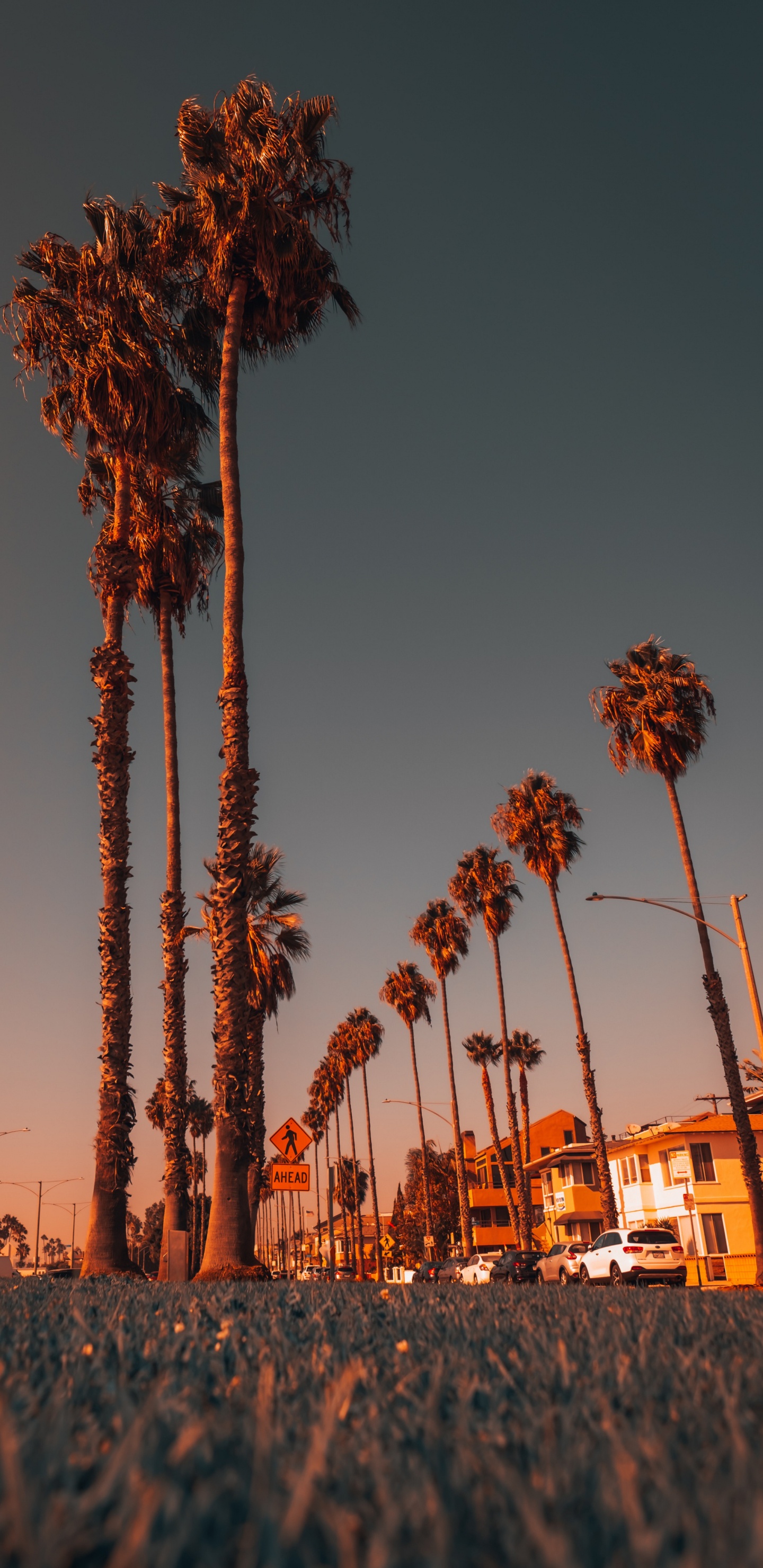 光, 性质, 人体内的水 壁纸 1440x2960 允许