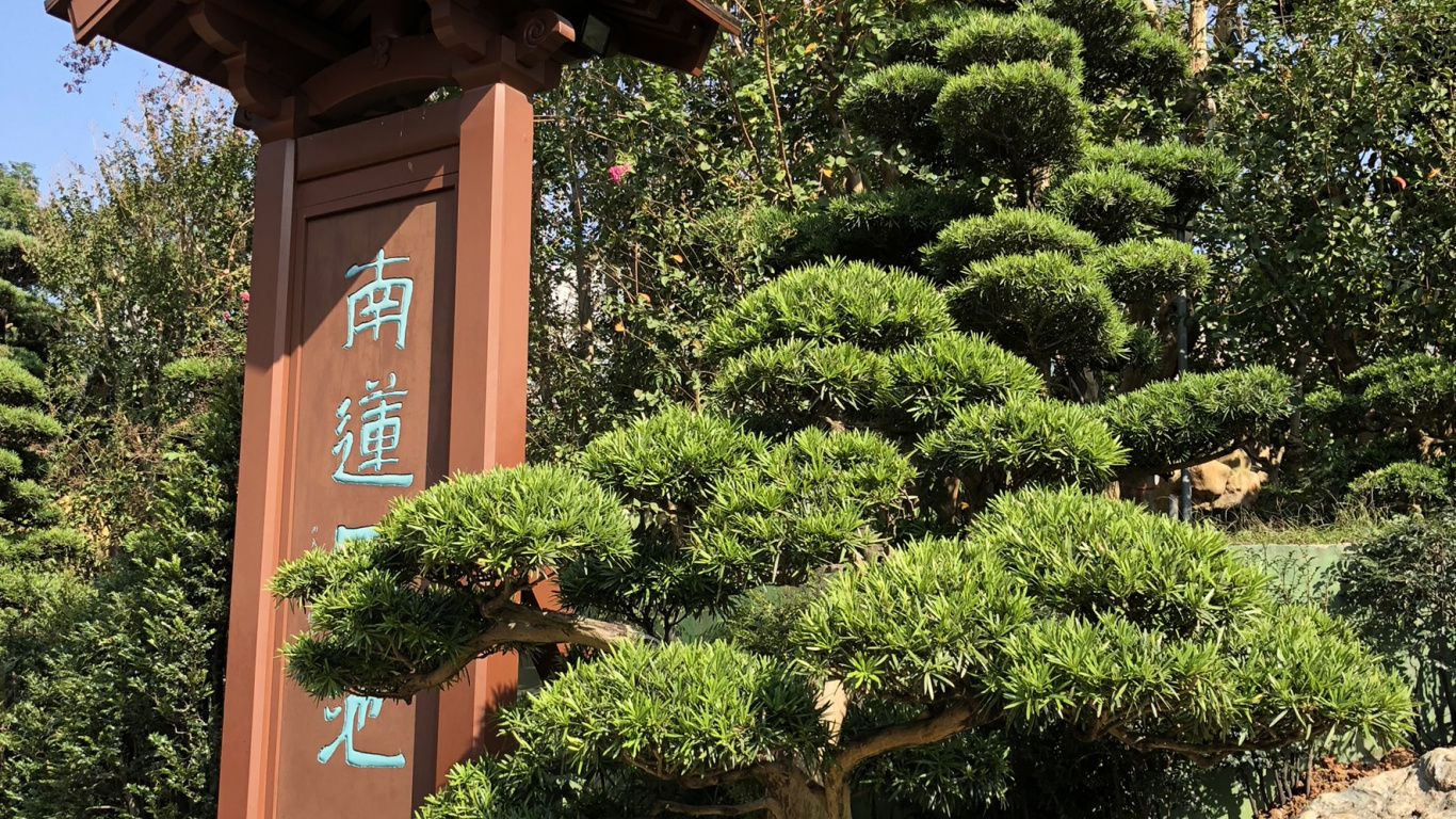 Hong Kong, Arbuste, Garden, Evergreen, L'aménagement Paysager. Wallpaper in 1366x768 Resolution
