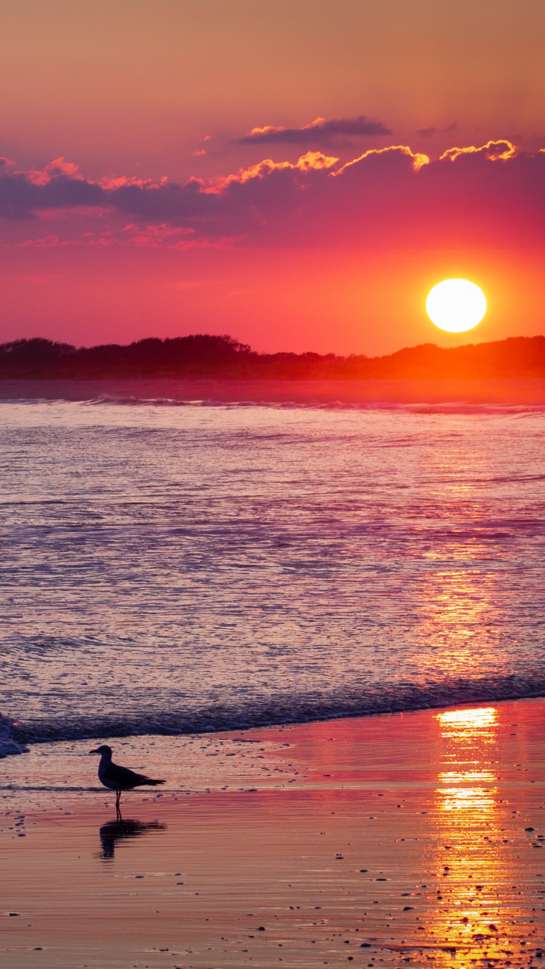 Beach, Sunset, Horizon, Afterglow, Sunrise. Wallpaper in 1080x1920 Resolution