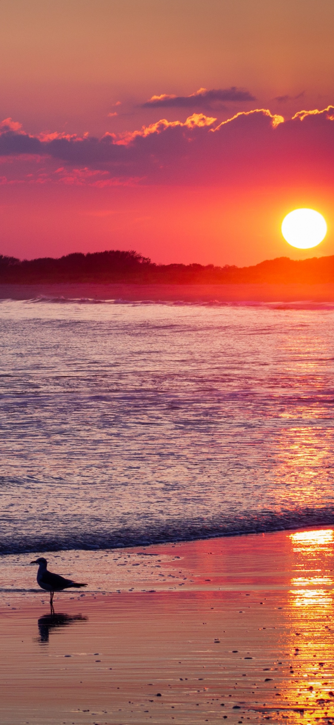 Beach, Sunset, Horizon, Afterglow, Sunrise. Wallpaper in 1125x2436 Resolution