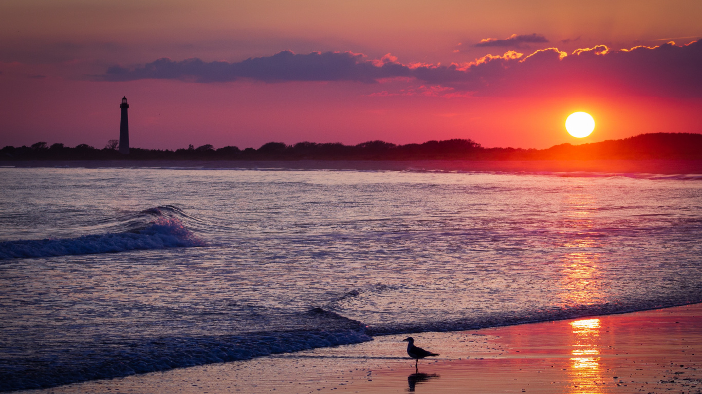 Beach, Sunset, Horizon, Afterglow, Sunrise. Wallpaper in 1366x768 Resolution