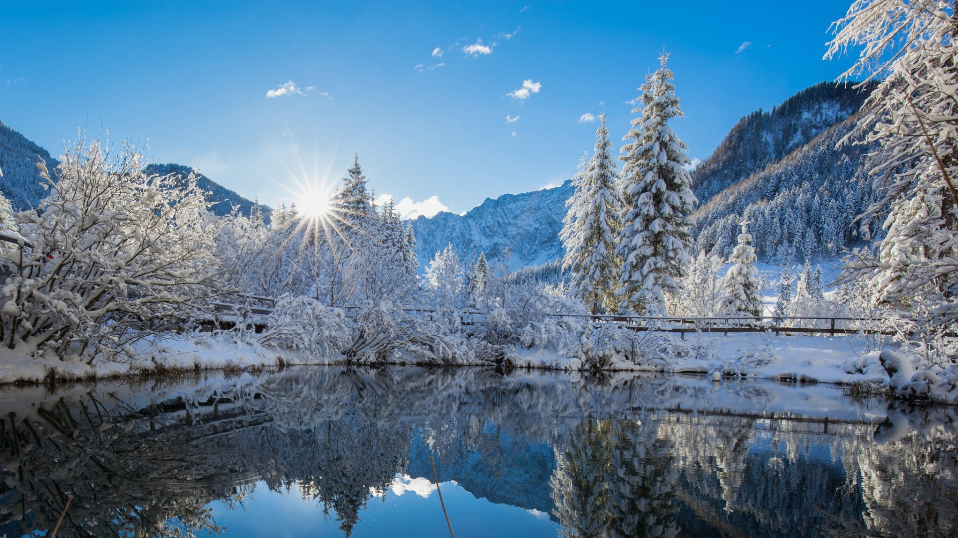 Green Pine Trees Near Snow Covered Mountain During Daytime. Wallpaper in 1920x1080 Resolution