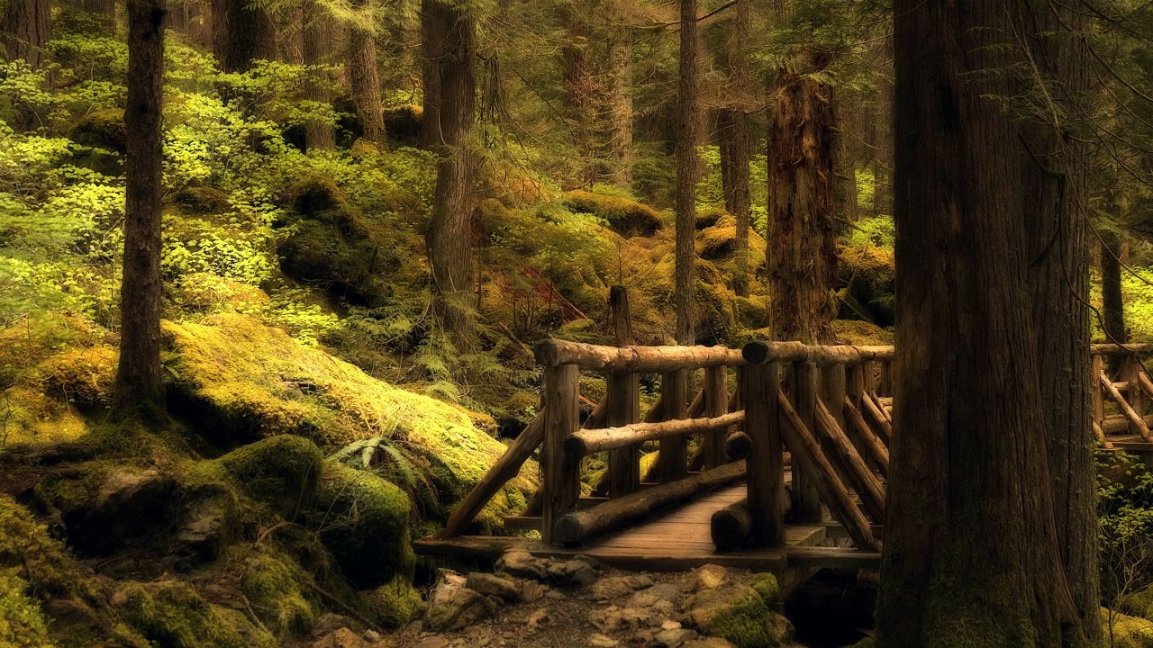 Pont en Bois Brun Au-dessus de la Rivière. Wallpaper in 1280x720 Resolution