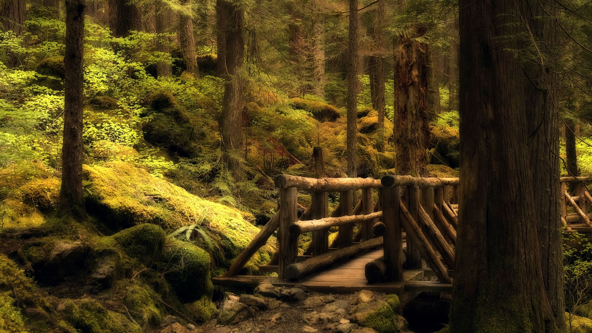 Pont en Bois Brun Au-dessus de la Rivière. Wallpaper in 1920x1080 Resolution