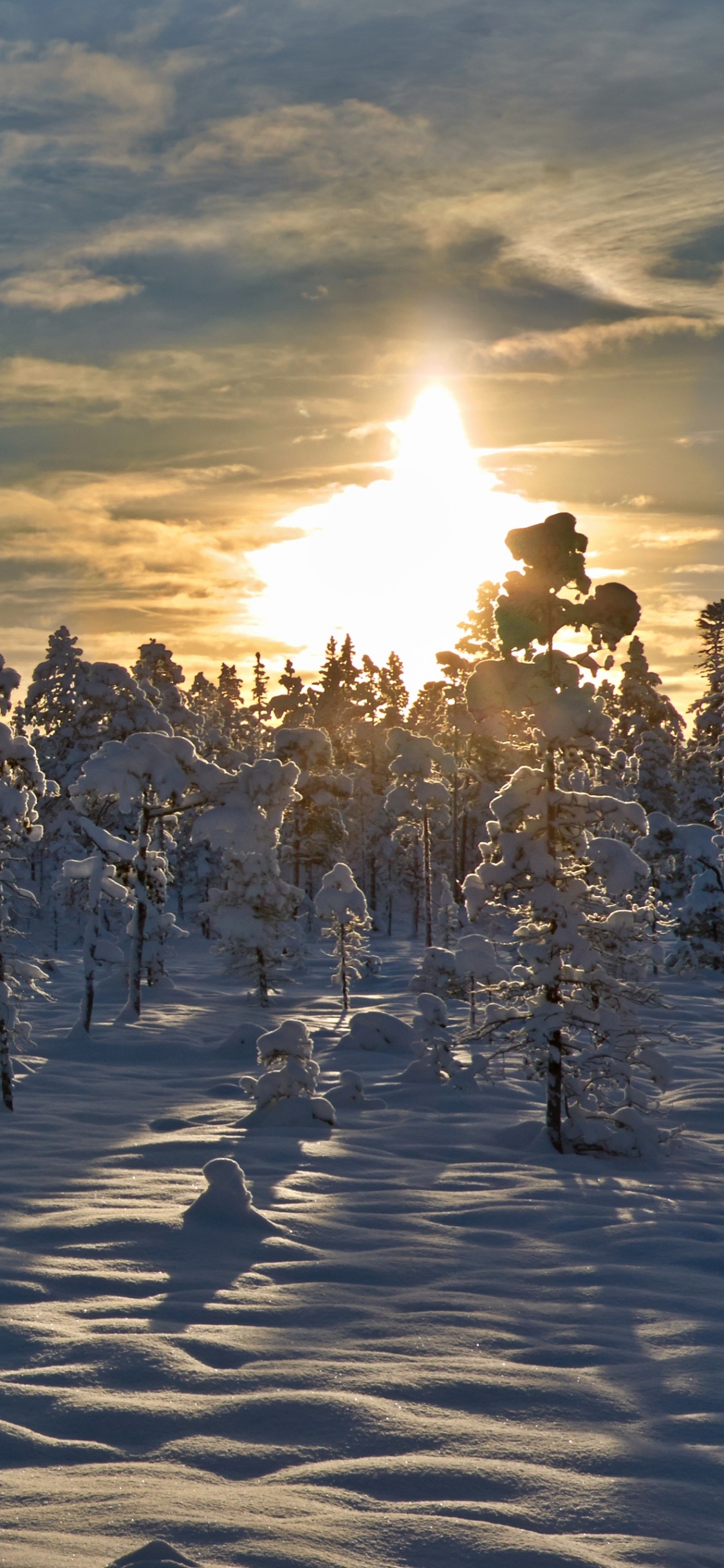 Arbres Couverts de Neige Sous Ciel Nuageux Pendant la Journée. Wallpaper in 1125x2436 Resolution