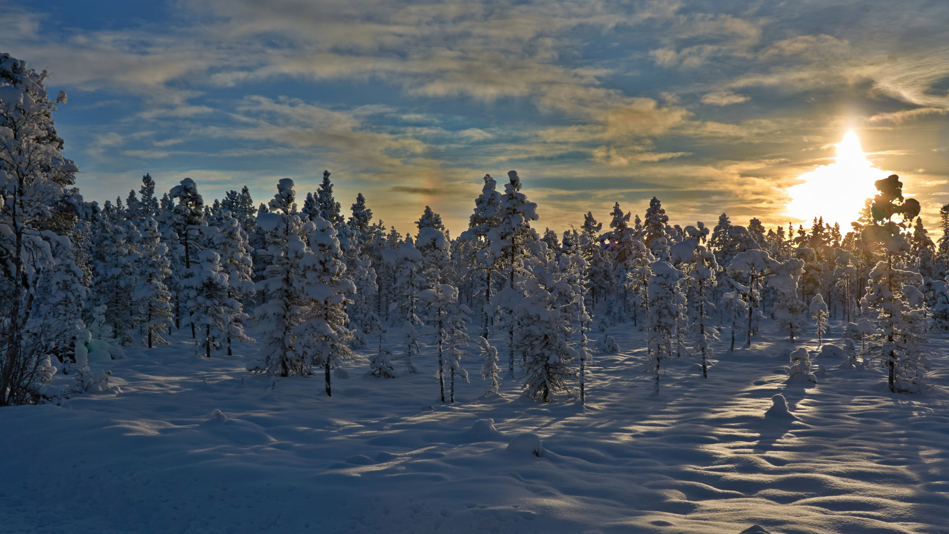 Arbres Couverts de Neige Sous Ciel Nuageux Pendant la Journée. Wallpaper in 1920x1080 Resolution