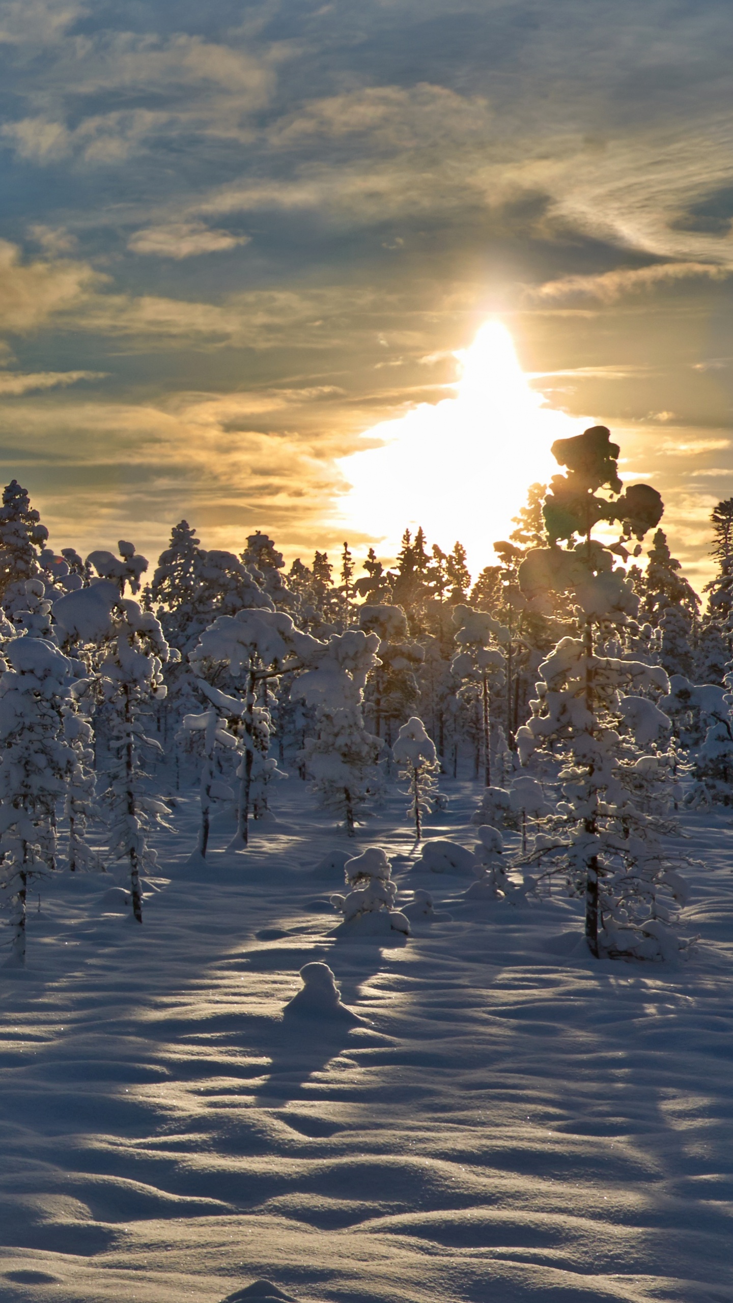 Snow Covered Trees Under Cloudy Sky During Daytime. Wallpaper in 1440x2560 Resolution