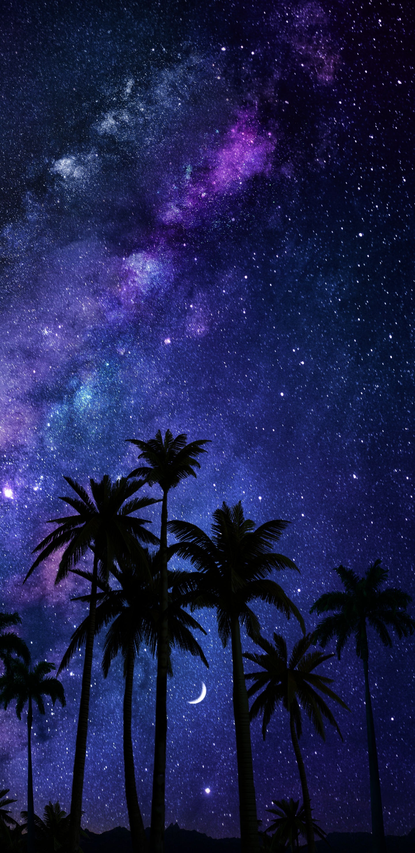 Milky Way, Astronomy, Cloud, Atmosphere, Plant. Wallpaper in 1440x2960 Resolution