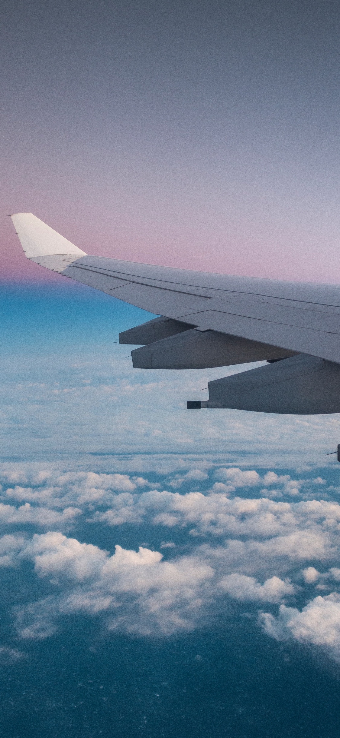 航班, 空中旅行, 气氛, 翼, 航空公司 壁纸 1125x2436 允许