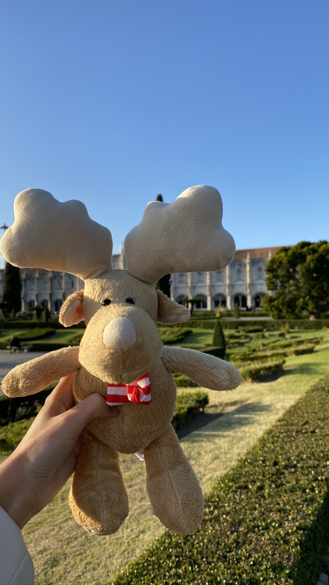 Tourism, Stuffed Toy, Toy, Plush, Hedge. Wallpaper in 1080x1920 Resolution