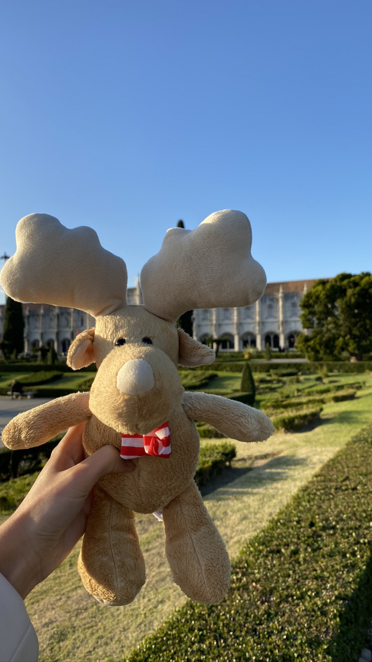 Tourism, Stuffed Toy, Toy, Plush, Hedge. Wallpaper in 750x1334 Resolution