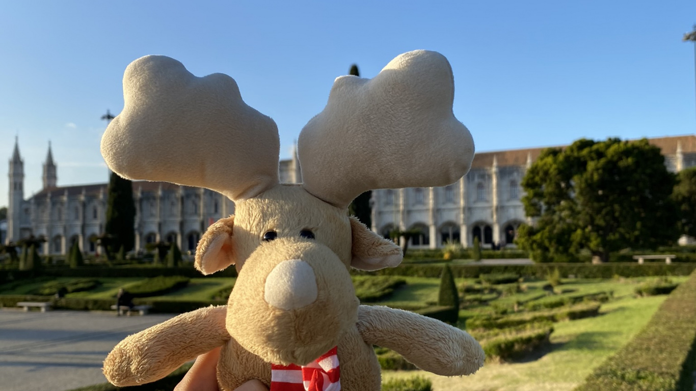 Tourisme, Jouet en Peluche, Peluche, Haie, Garden. Wallpaper in 1366x768 Resolution