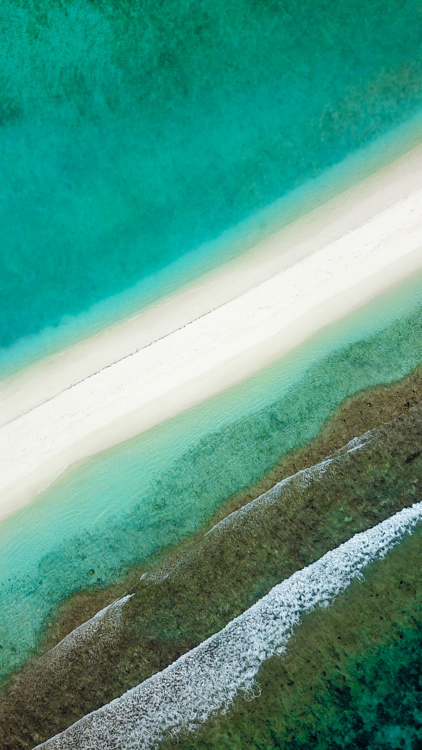 Blue, Green, Aqua, Turquoise, Water. Wallpaper in 1440x2560 Resolution