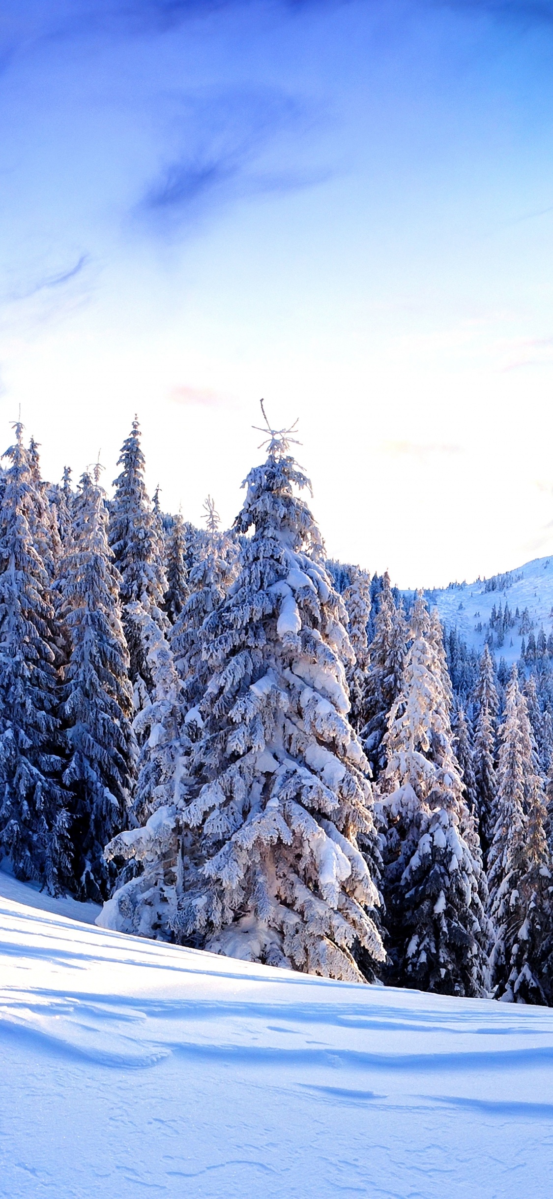 Snow Covered Pine Trees and Mountains During Daytime. Wallpaper in 1125x2436 Resolution
