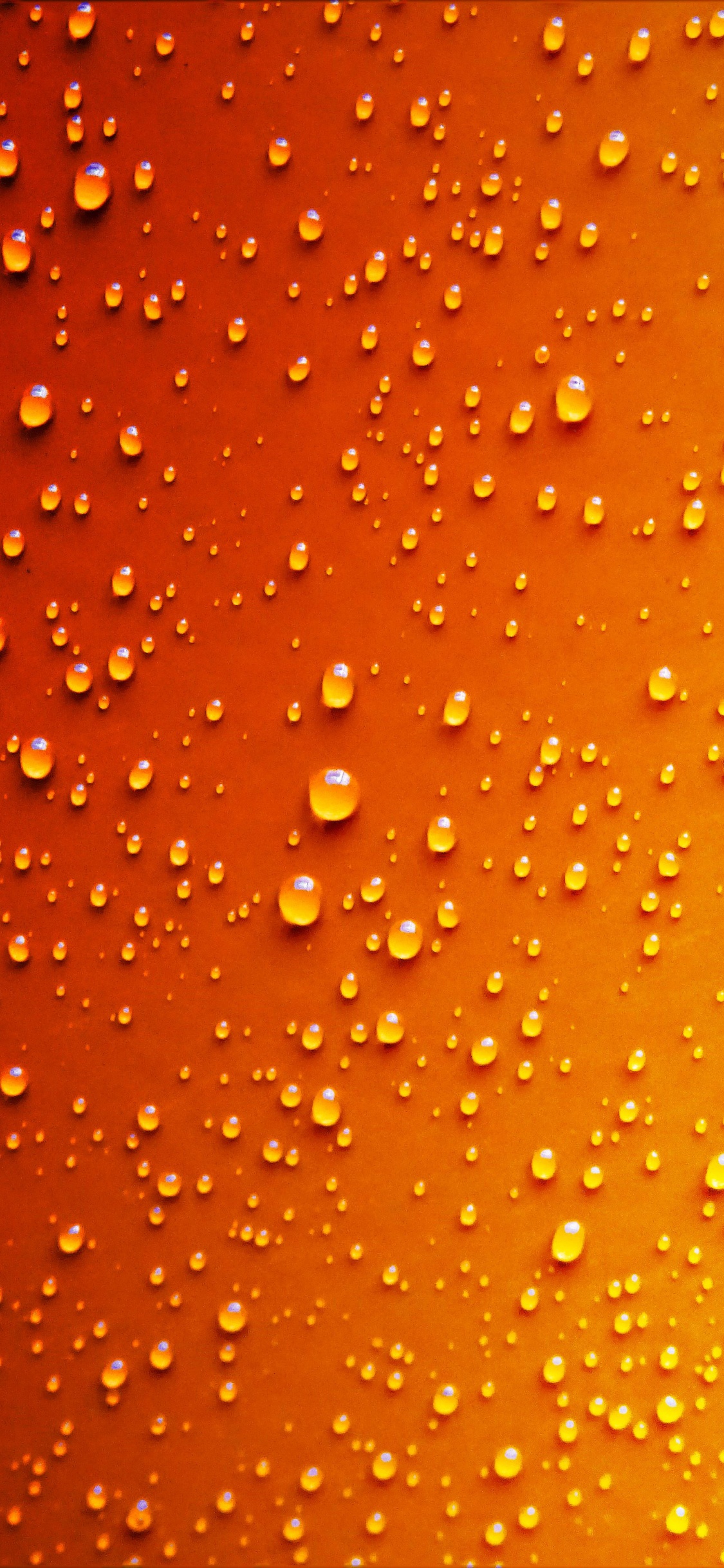 Water Droplets on Glass Panel. Wallpaper in 1125x2436 Resolution