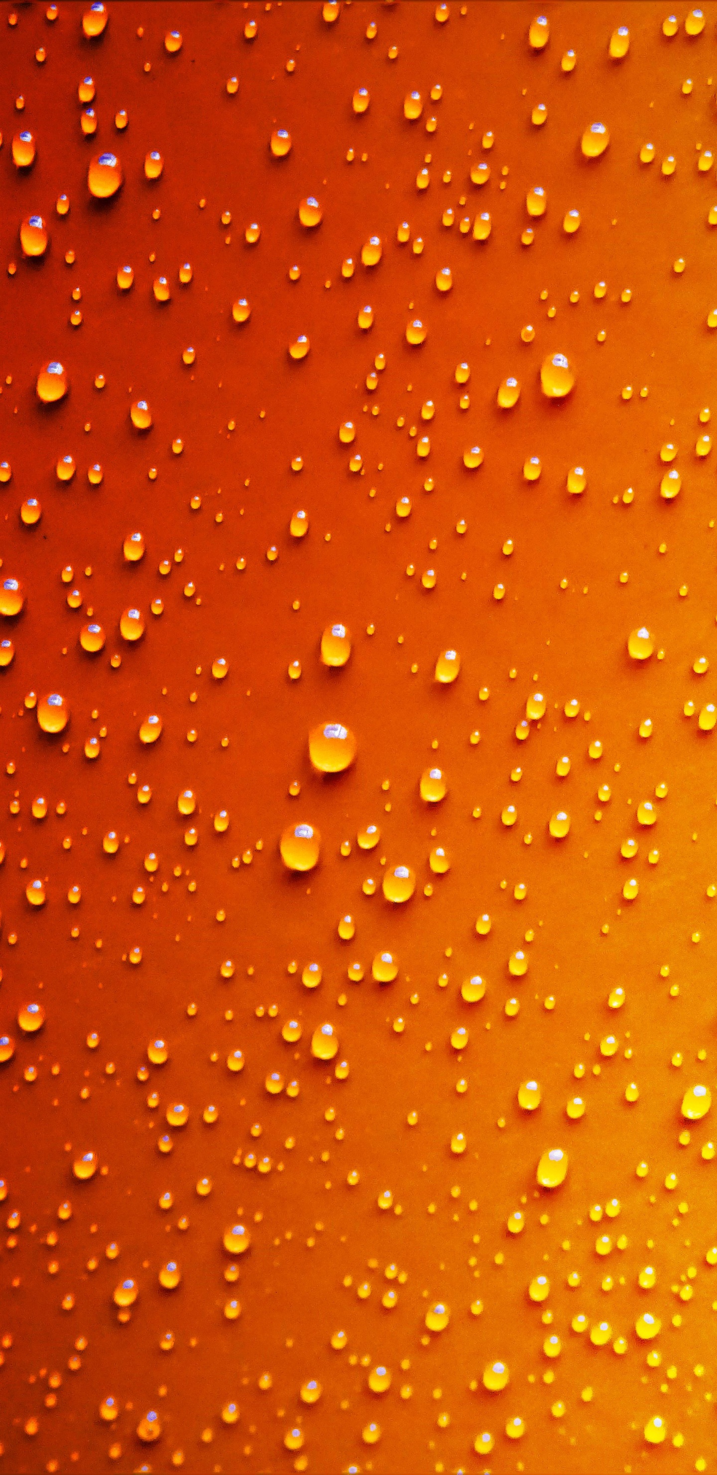 Water Droplets on Glass Panel. Wallpaper in 1440x2960 Resolution