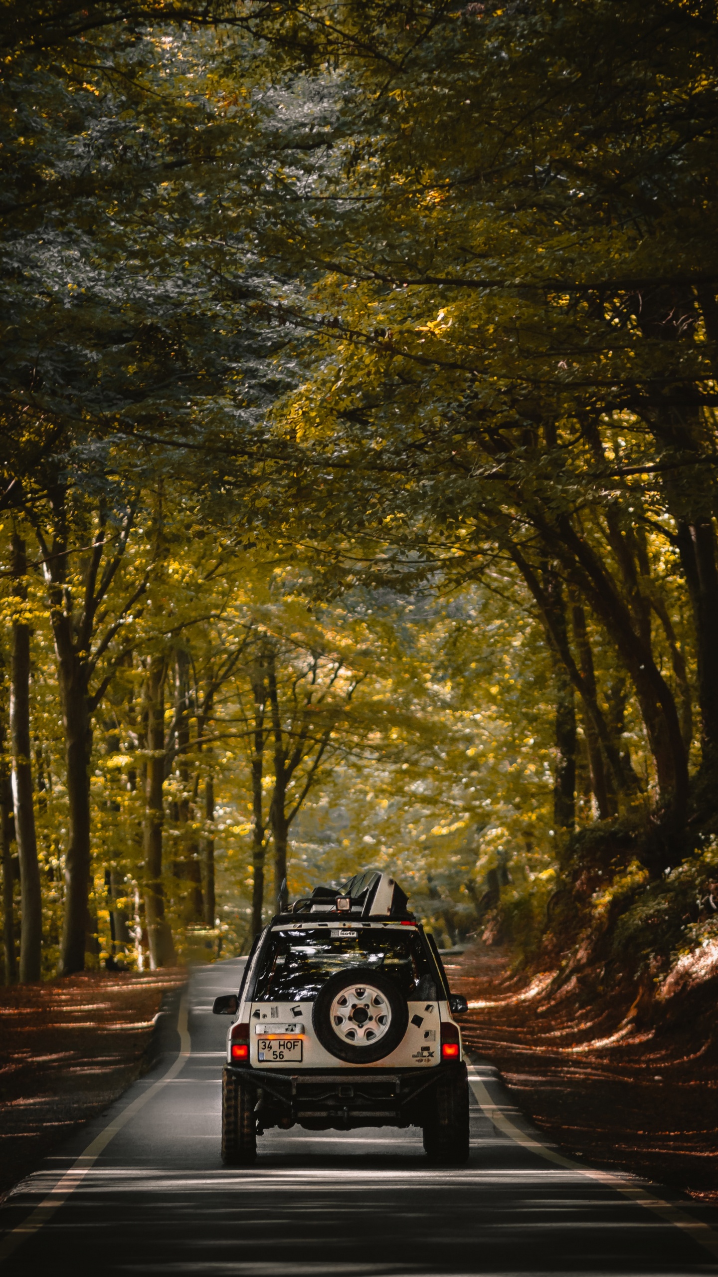 Schwarzes Auto Auf Der Straße Zwischen Bäumen Tagsüber. Wallpaper in 1440x2560 Resolution