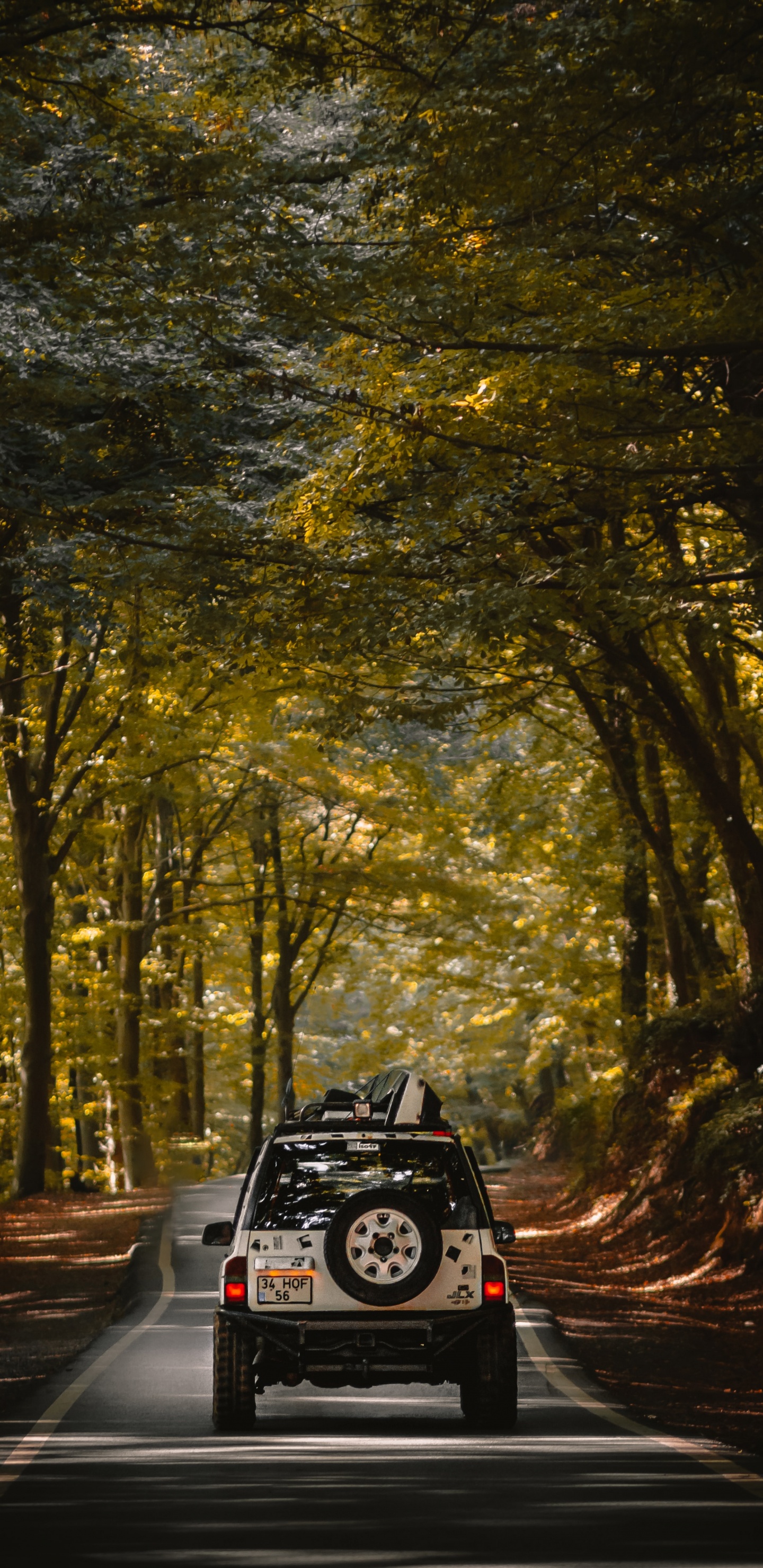 Black Car on Road in Between Trees During Daytime. Wallpaper in 1440x2960 Resolution