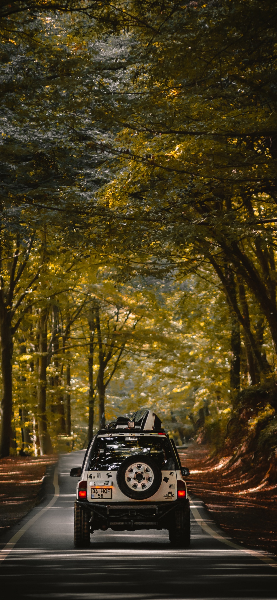 Voiture Noire Sur Route Entre Les Arbres Pendant la Journée. Wallpaper in 1125x2436 Resolution