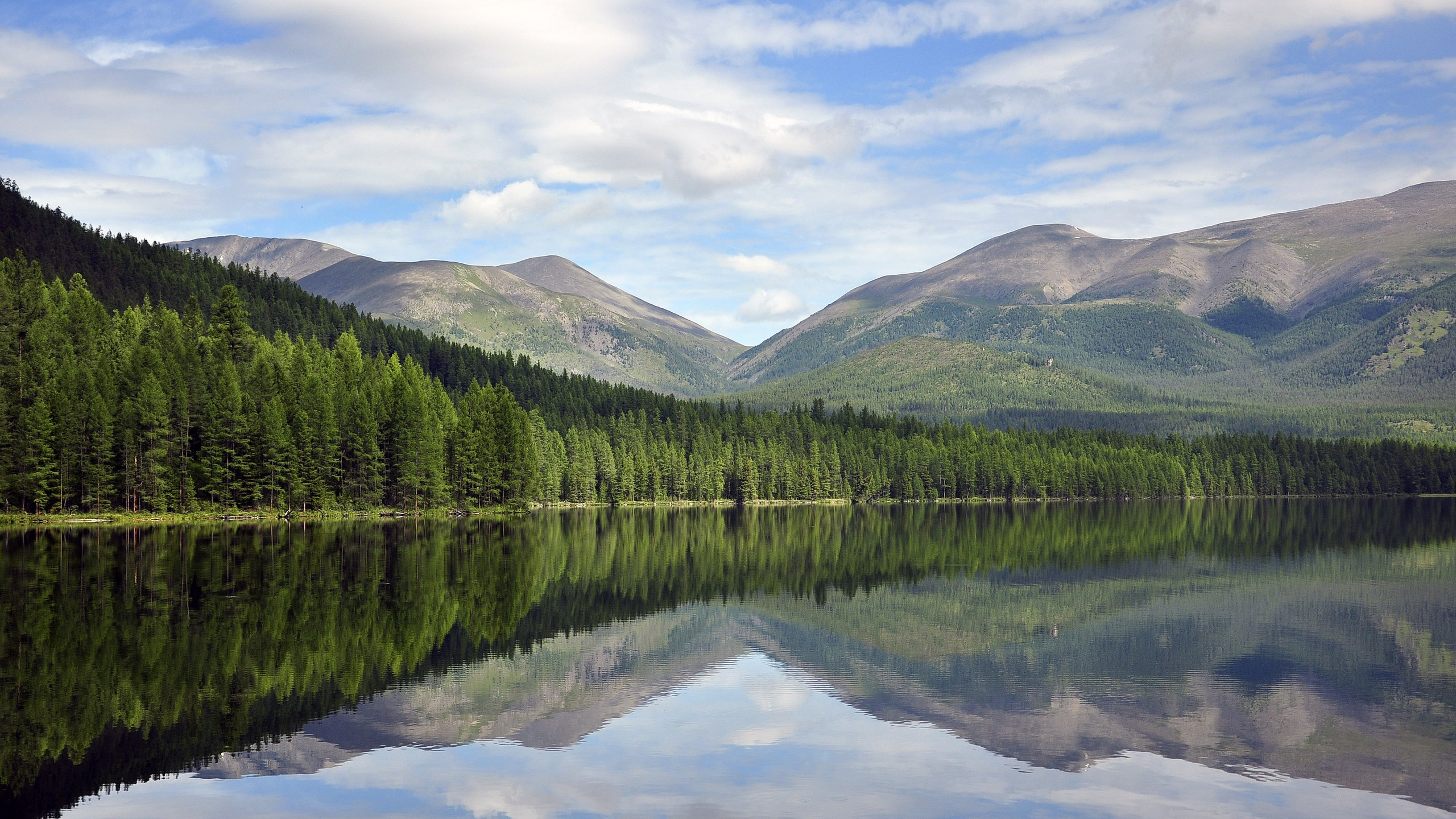 Green Trees Near Lake Under Blue Sky During Daytime. Wallpaper in 2560x1440 Resolution
