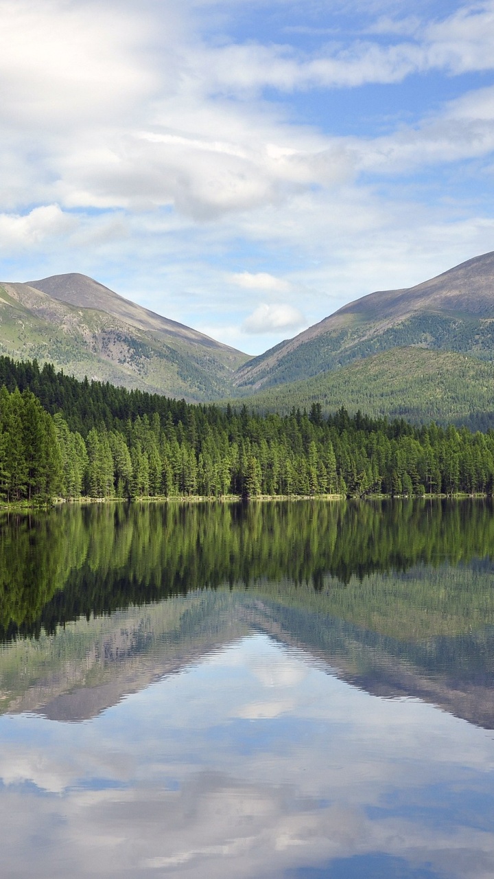Green Trees Near Lake Under Blue Sky During Daytime. Wallpaper in 720x1280 Resolution