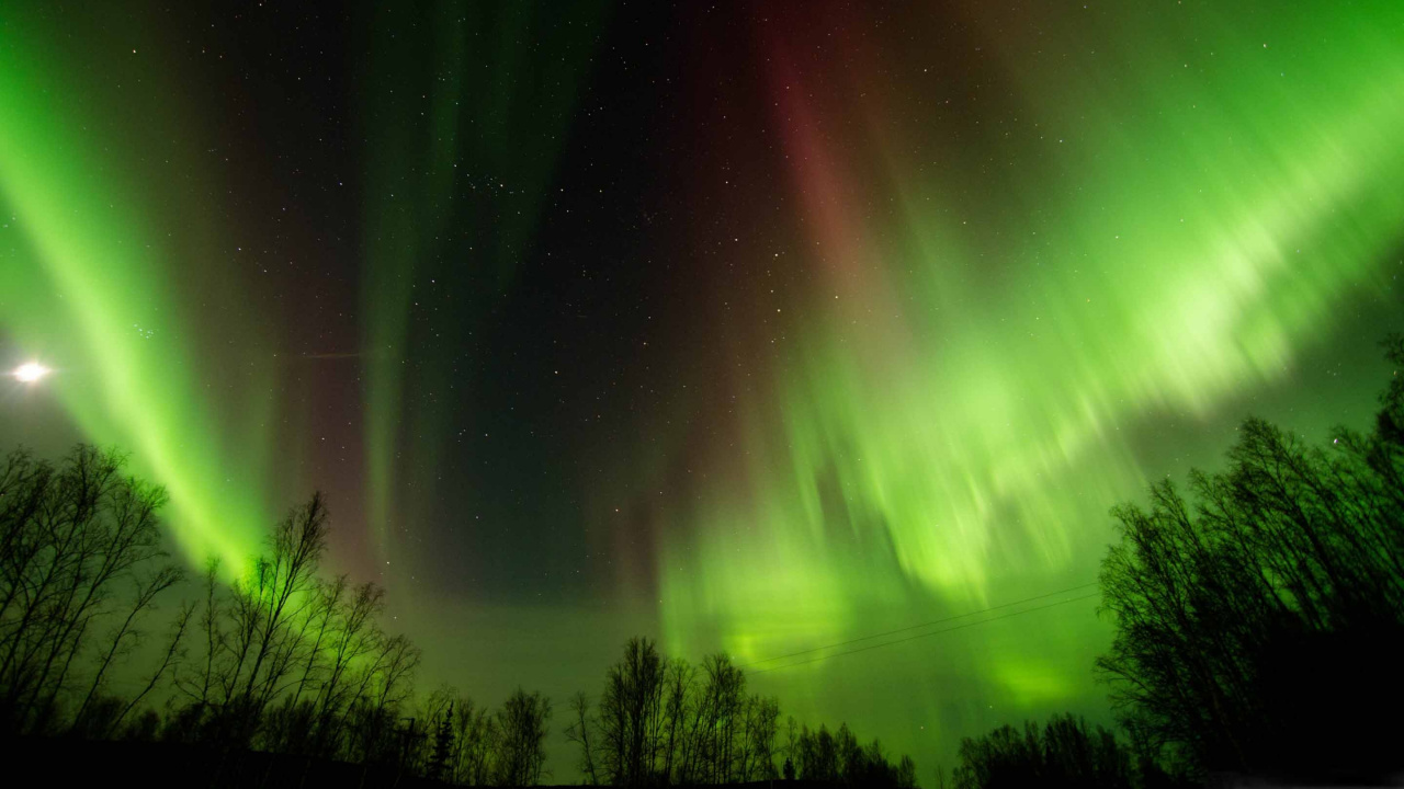 Grüne Und Blaue Polarlichter. Wallpaper in 1280x720 Resolution
