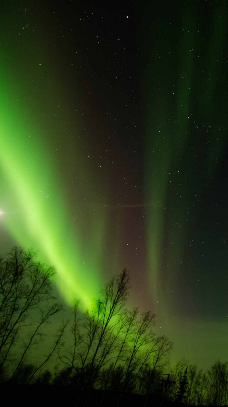 Luces de Aurora Verde y Azul. Wallpaper in 750x1334 Resolution