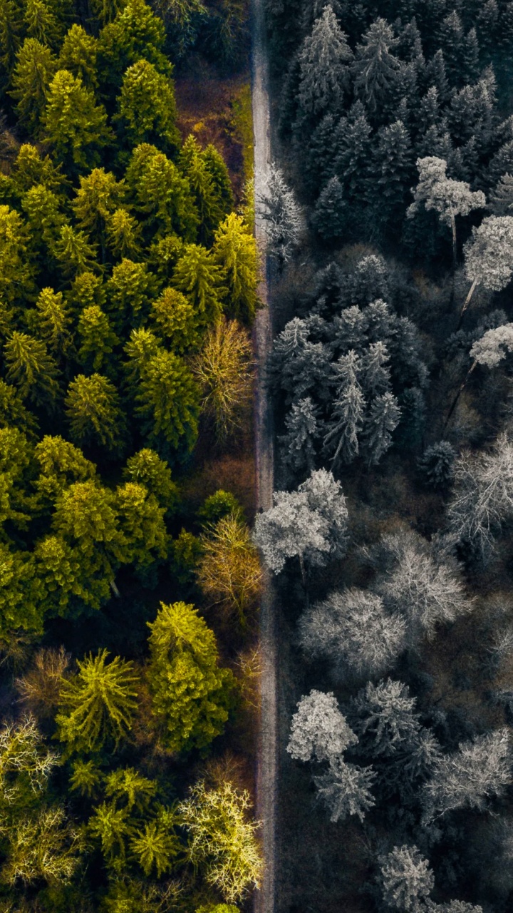 Natur, Pflanzen-Gemeinschaft, Naturlandschaft, Gras, Terrestrische Pflanzen. Wallpaper in 720x1280 Resolution