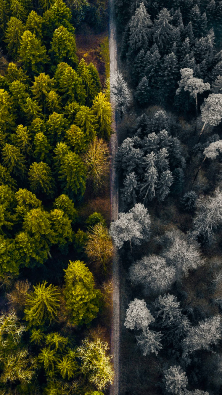 Nature, Plant Community, Natural Landscape, Grass, Terrestrial Plant. Wallpaper in 750x1334 Resolution