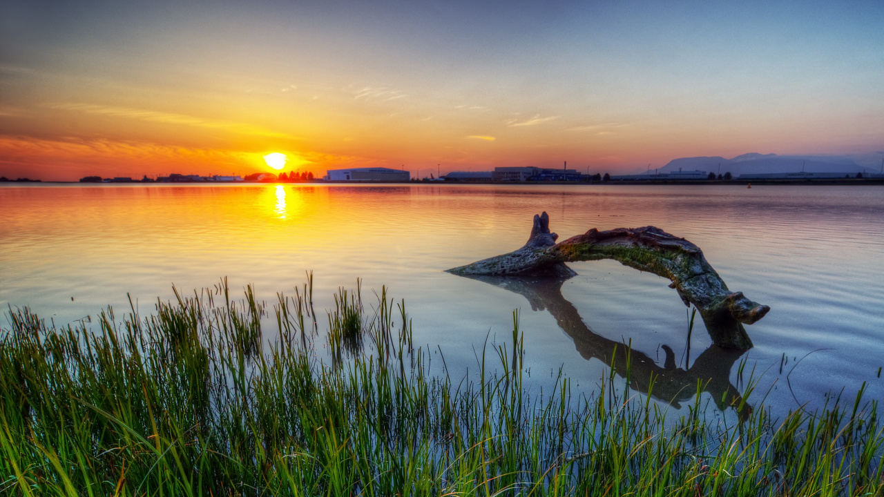 Green Grass Near Body of Water During Sunset. Wallpaper in 1280x720 Resolution