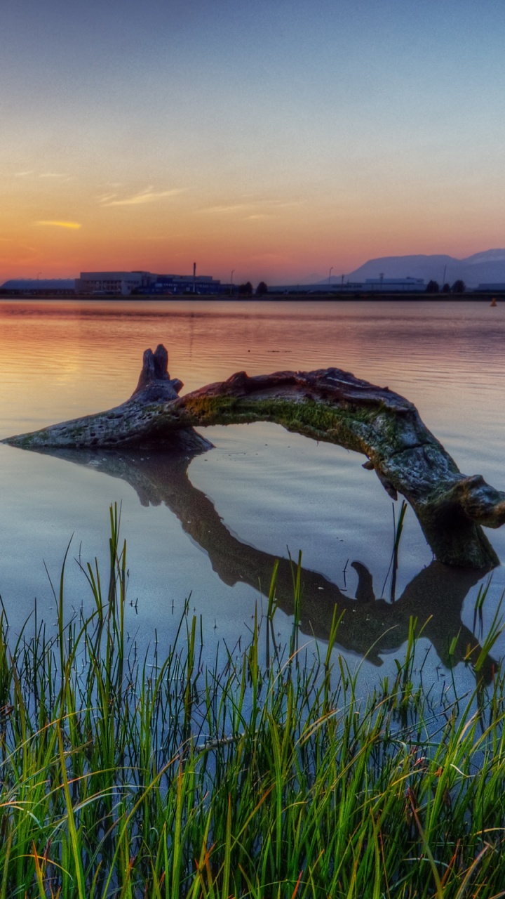 Green Grass Near Body of Water During Sunset. Wallpaper in 720x1280 Resolution