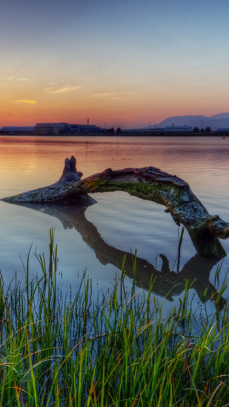 Green Grass Near Body of Water During Sunset. Wallpaper in 750x1334 Resolution